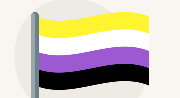 graphic of non-binary flag
