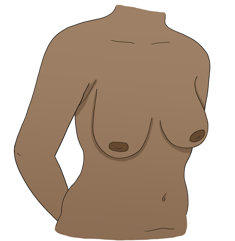 Illustration of a body with large breasts.